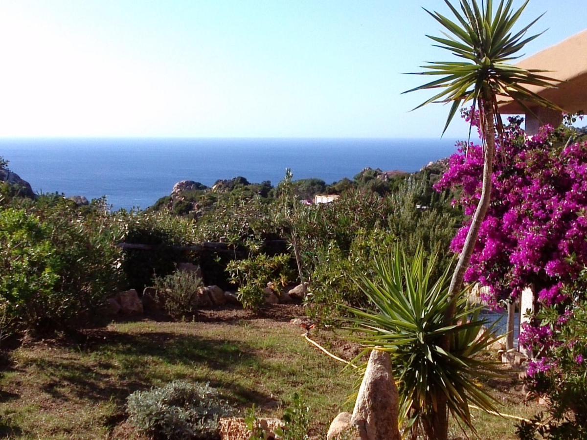 Villetta Rocchi - Costa Paradiso Exterior foto